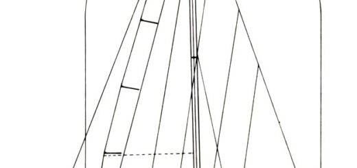 Comet 11 e Comet 11 Plus